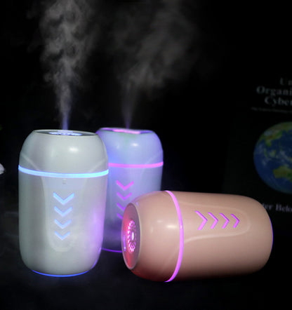 Portable car humidifier